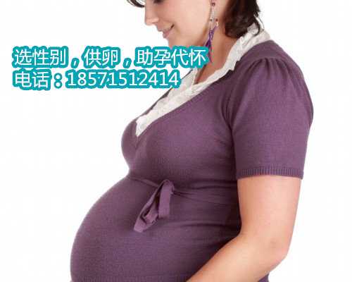 北京私立医院做供卵,试管婴儿医院全国排行