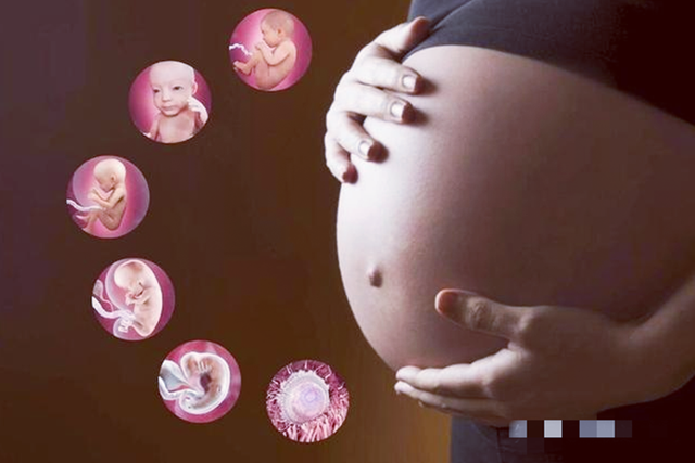 武汉借腹怀胎案例,全国首例试管婴儿是哪家医院